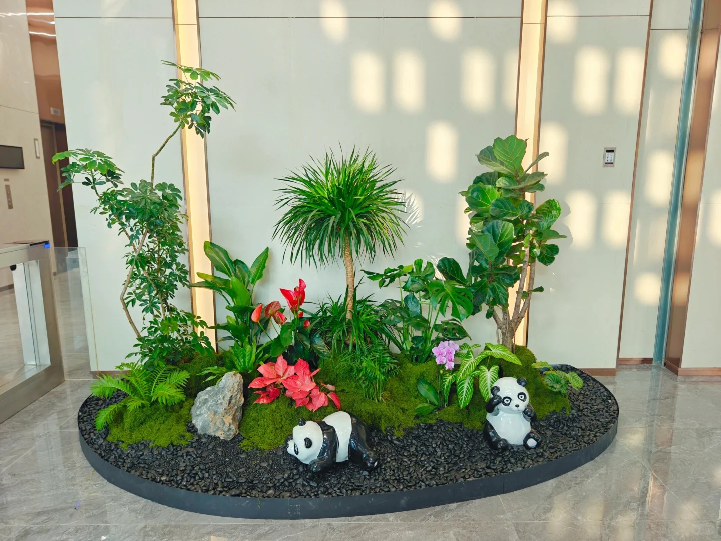 专业绿植租赁，为宁波余姚增添一抹绿